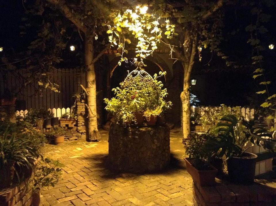 地拉那 布提纳青年旅舍酒店 外观 照片